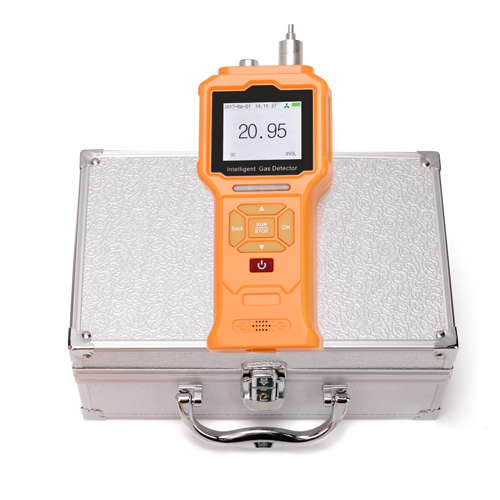Portable combustible gas monitor with inner pump