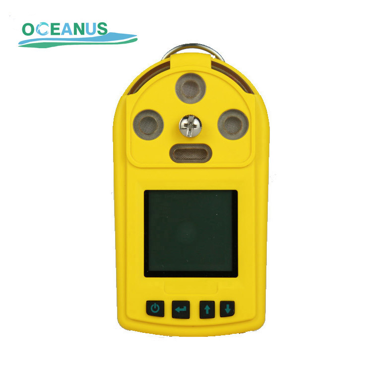 1789551423245310.jpg realtime multi gas detector 450.jpg